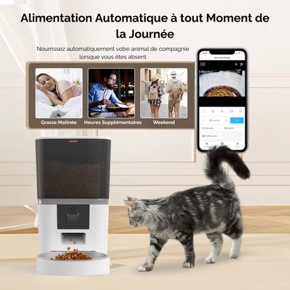 Distributeur de croquette automatique avec caméra intégrée