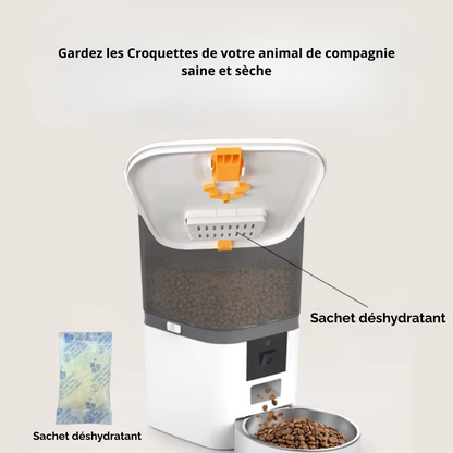 Distributeur de croquette automatique avec caméra intégrée
