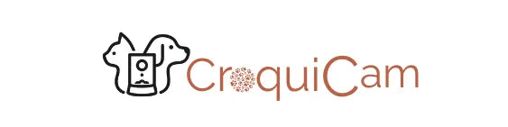 Croquicam