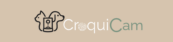 Croquicam