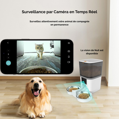 Distributeur de croquette automatique avec caméra intégrée