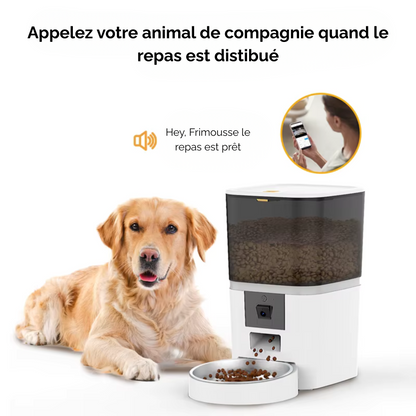 Distributeur de croquette automatique avec caméra intégrée