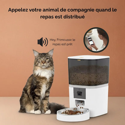 Distributeur de croquette automatique intelligent