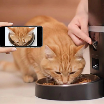 Distributeur de croquette automatique intelligent